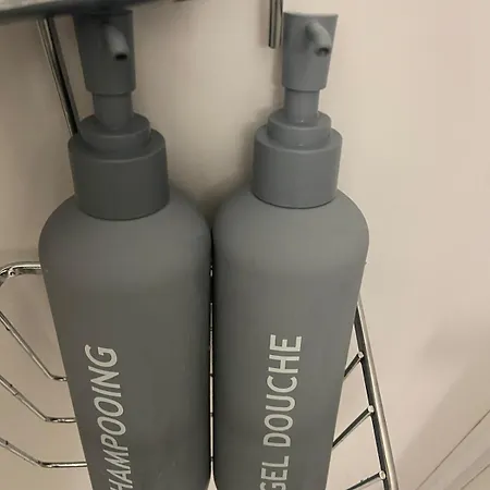 Hypercentre - Train Station 5 Minutes Away * Nancy